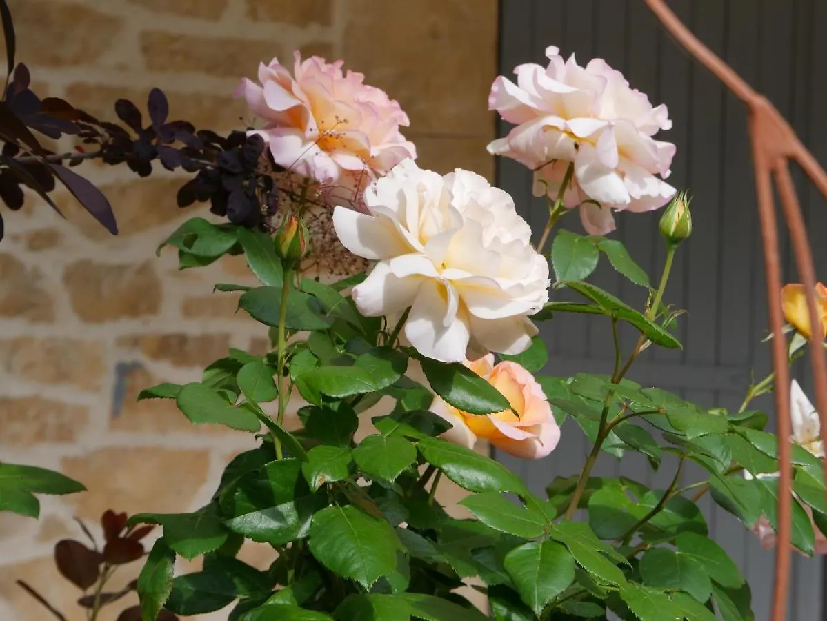 Bed and Breakfast La Bastide Du Murier Cotignac